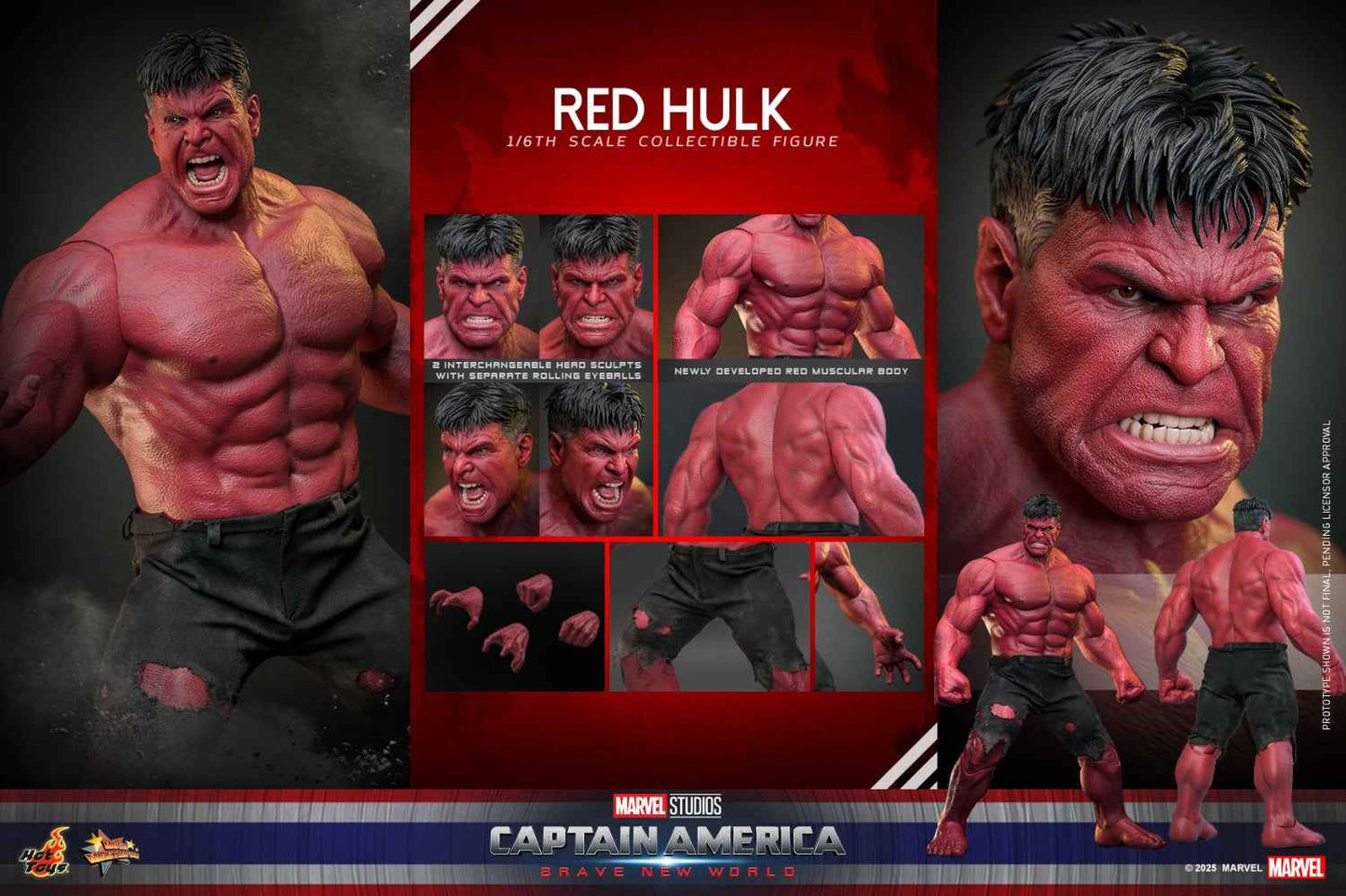 Marvel ~ Hot Toys ~ Red Hulk "Captain America: Brave New World" MMS797 ~ Licensed Action Figure - Santoryu Resins Collectors