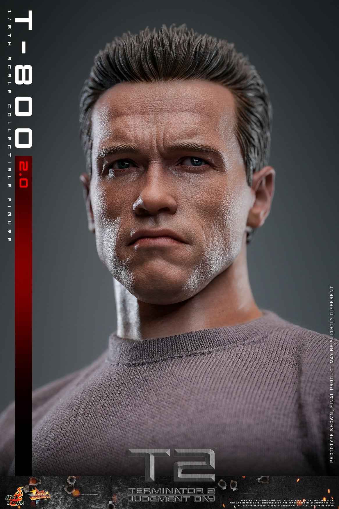 Terminator ~ Hot Toys ~ T-800 (MMS795) ~ Licensed Action Figure - Santoryu Resins Collectors