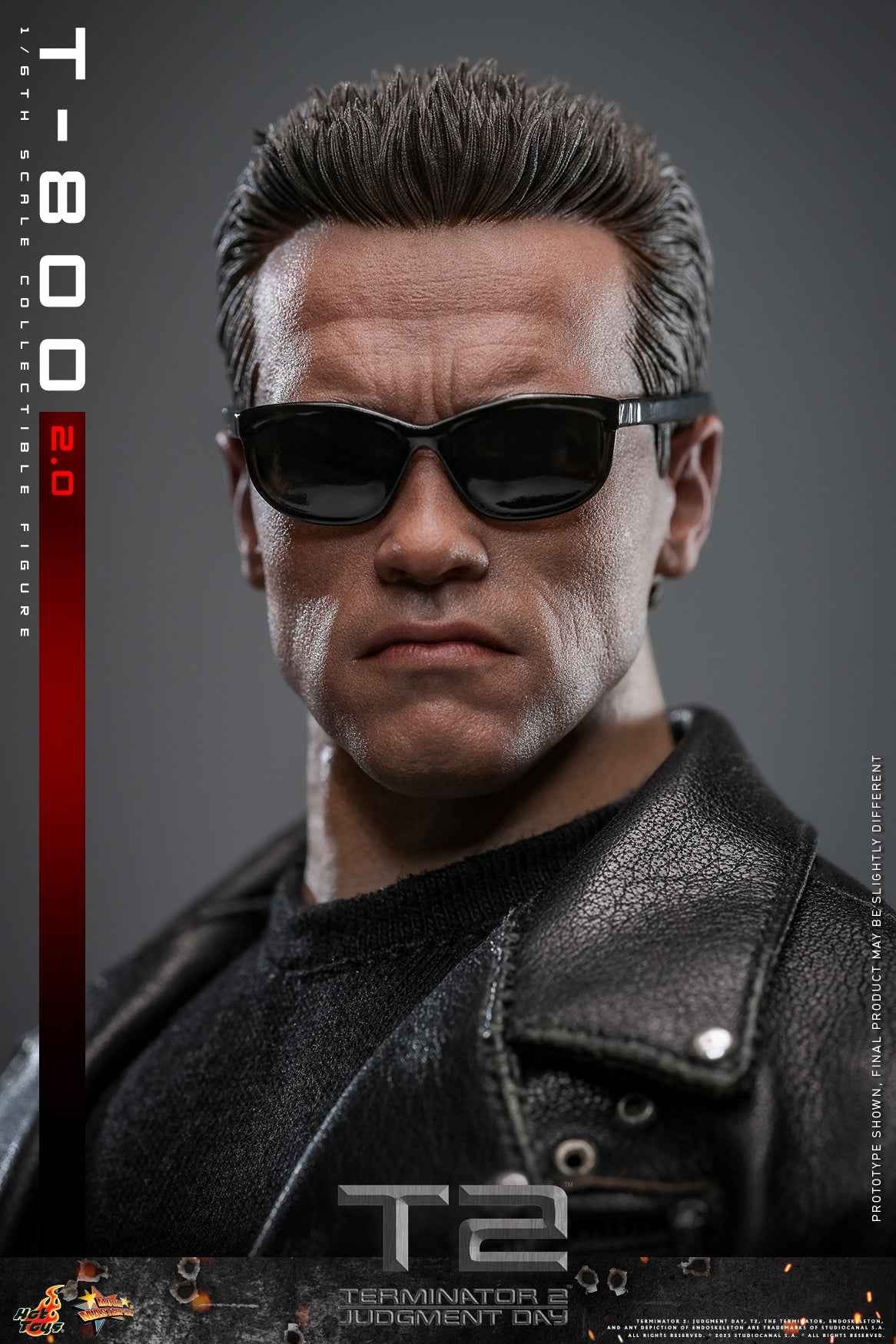 Terminator ~ Hot Toys ~ T-800 (MMS795) ~ Licensed Action Figure - Santoryu Resins Collectors
