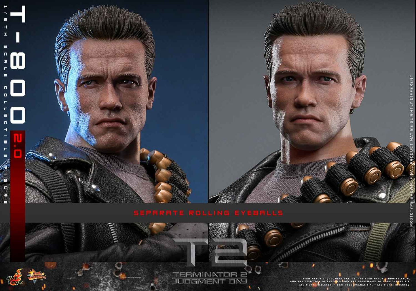 Terminator ~ Hot Toys ~ T-800 (MMS795) ~ Licensed Action Figure - Santoryu Resins Collectors