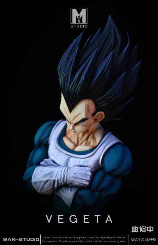 Dragon Ball MAN Studio Vegeta Resin Statue