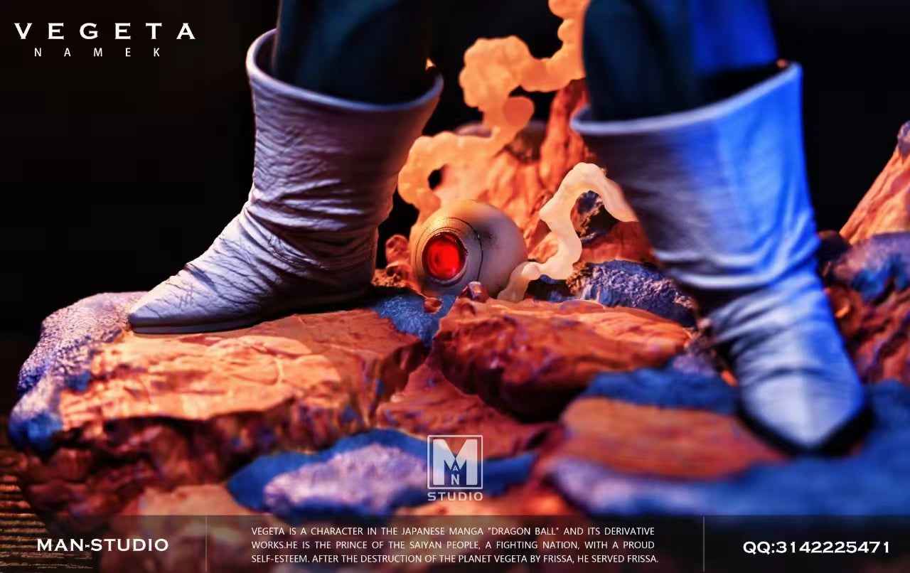Dragon Ball MAN Studio Vegeta Resin Statue