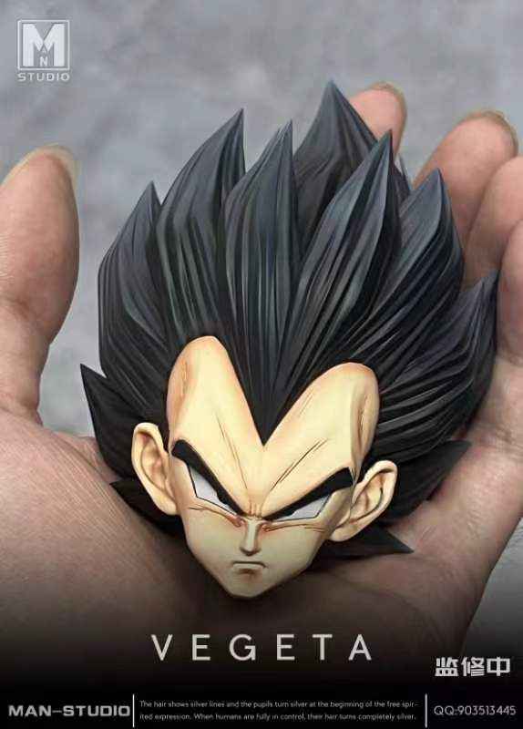 Dragon Ball MAN Studio Vegeta Resin Statue