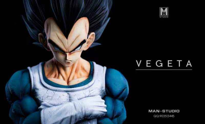 Dragon Ball MAN Studio Vegeta Resin Statue