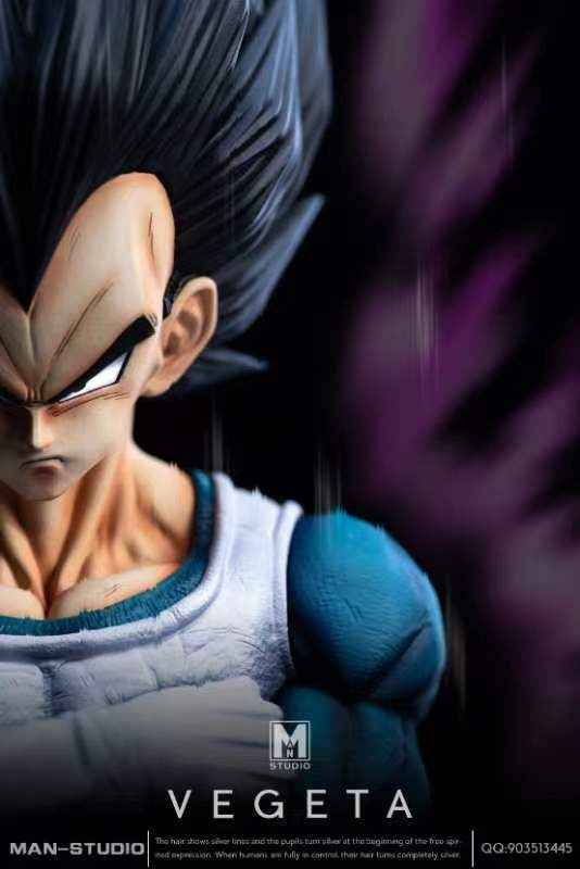 Dragon Ball MAN Studio Vegeta Resin Statue