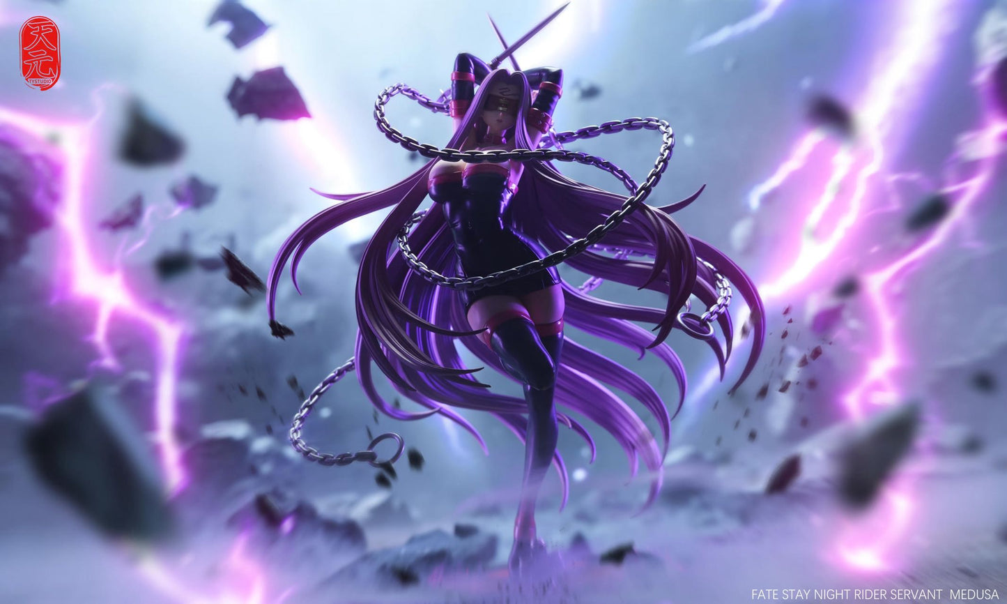 Fate/stay night TY Studio Rider Resin Statue