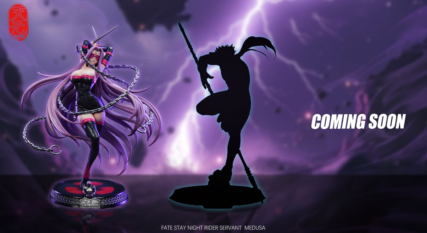Fate/stay night TY Studio Rider Resin Statue
