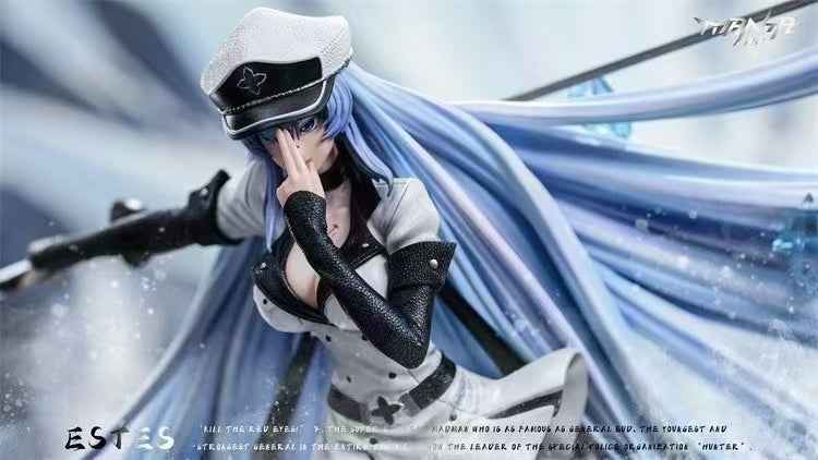 Akame ga Kill ~ Manta Studio ~ Esdeath ~ Resin Statue - Santoryu Resins Collectors