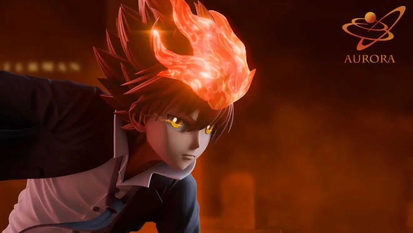 Katekyo Hitman Reborn Aurora Studio Tsunayoshi Sawada Resin Statue
