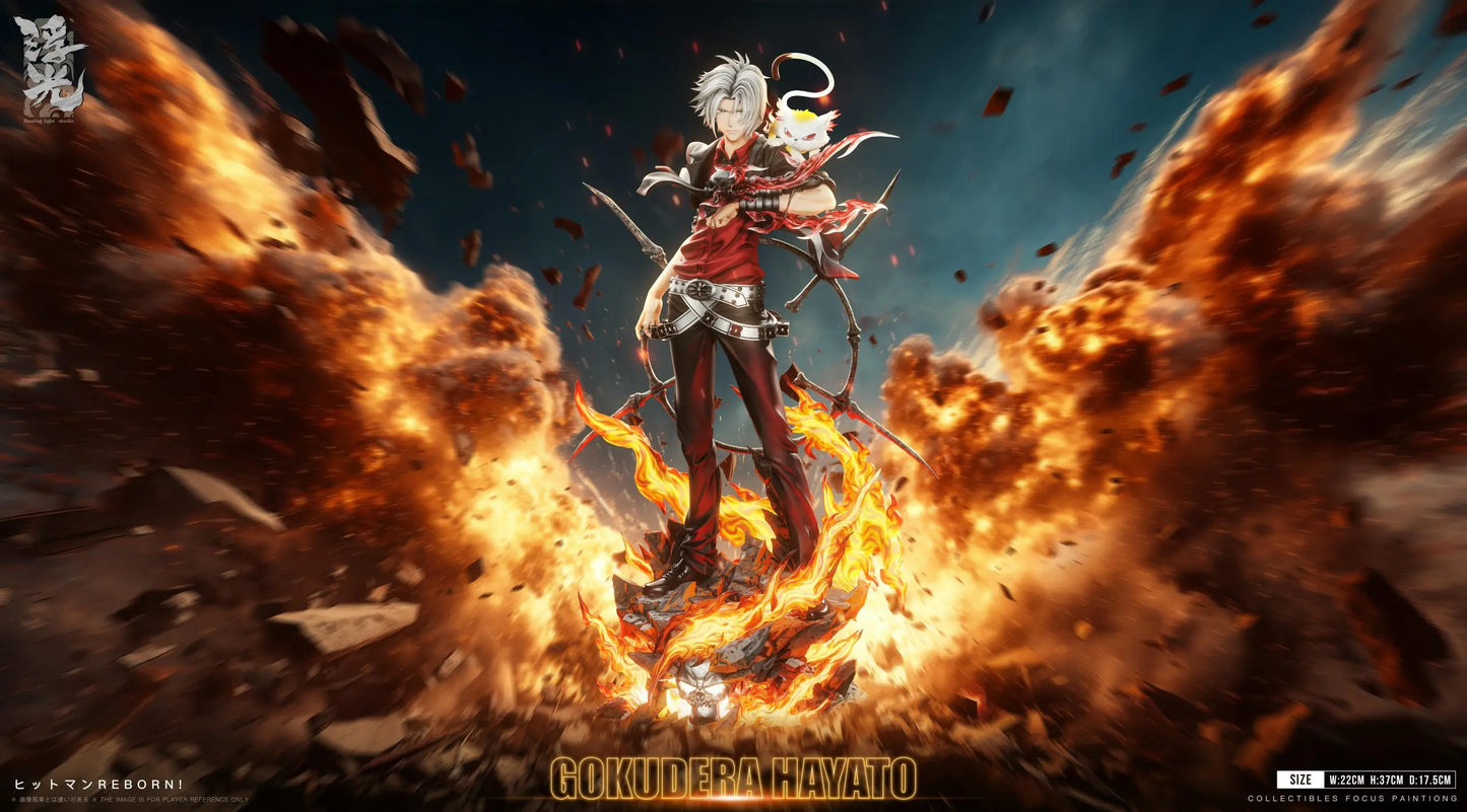 Katekyo Hitman Reborn Floating Light Studio Hayato Gokudera Resin Statue