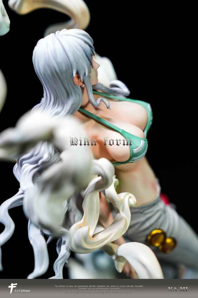 One Piece F.I.T Studio Nami Nika Form Resin Statue