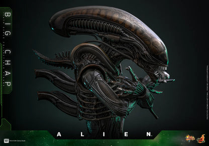 Alien Hot Toys Big Chap MMS826B (Special Edition) Licensed Action Figure