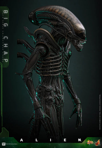 Alien Hot Toys Big Chap MMS826B (Special Edition) Licensed Action Figure