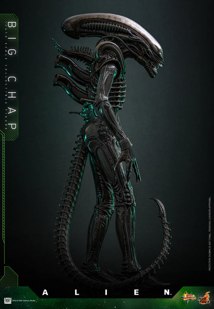 Alien Hot Toys Big Chap MMS826B (Special Edition) Licensed Action Figure