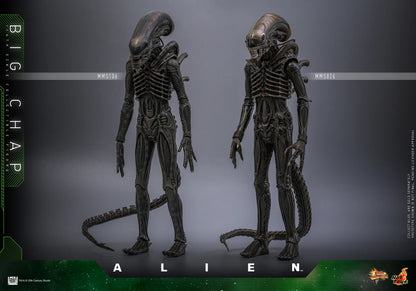Alien Hot Toys Big Chap MMS826B (Special Edition) Licensed Action Figure