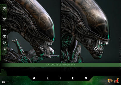 Alien Hot Toys Big Chap MMS826B (Special Edition) Licensed Action Figure