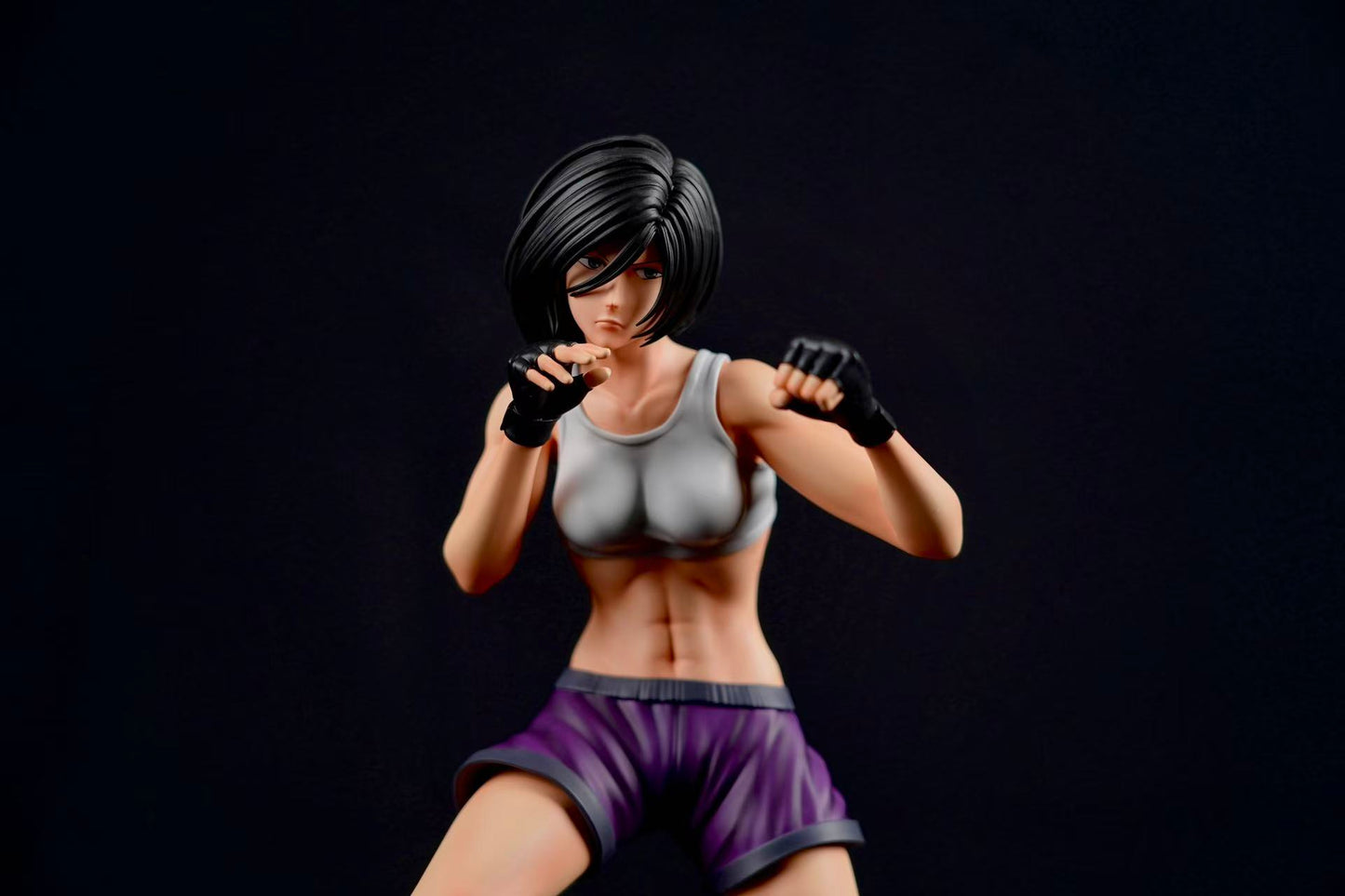 Attack On Titan ~ Titan Studio Mikasa Ackerman the Fist Fighter 1/6 Resin Statue