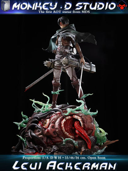 Attack on Titan Monkey D Studio Levi Ackerman Resin Statue