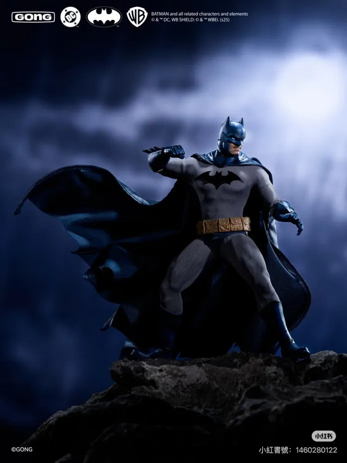 DC Comics GONG Studio Batman: Hush Series Licensed Action Figure
