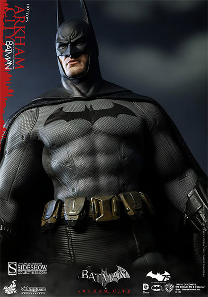 DC Comics Hot Toys Batman Arkham City VGM18 1/6 Licensed Action Figure