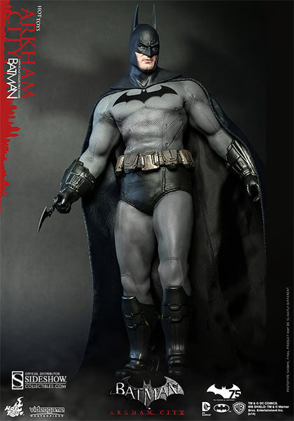 DC Comics Hot Toys Batman Arkham City VGM18 1/6 Licensed Action Figure