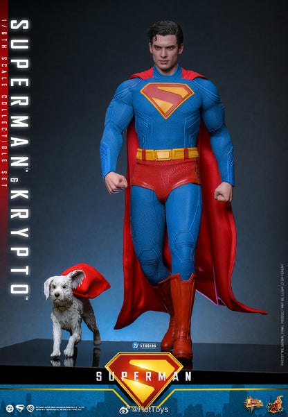 DC Comics Hot Toys Superman & Krypto Set MMS812 Licensed Action Figure