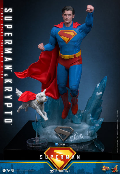 DC Comics Hot Toys Superman & Krypto Set MMS812 Licensed Action Figure