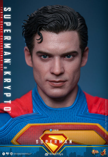 DC Comics Hot Toys Superman & Krypto Set MMS812 Licensed Action Figure