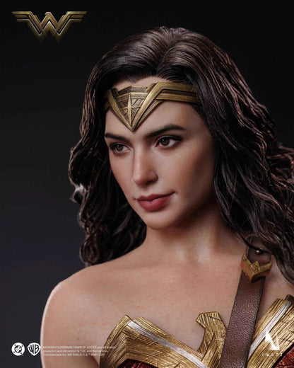 DC Comics Inart Collectibles Wonder Woman Ag-A023  Rooted Hair Licensed Action Figure