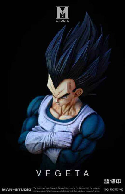 Dragon Ball MAN Studio Vegeta Resin Statue