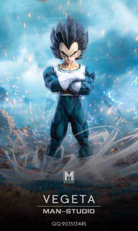 Dragon Ball MAN Studio Vegeta Resin Statue