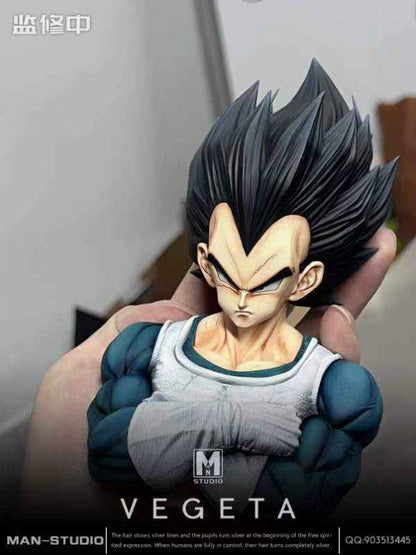 Dragon Ball MAN Studio Vegeta Resin Statue