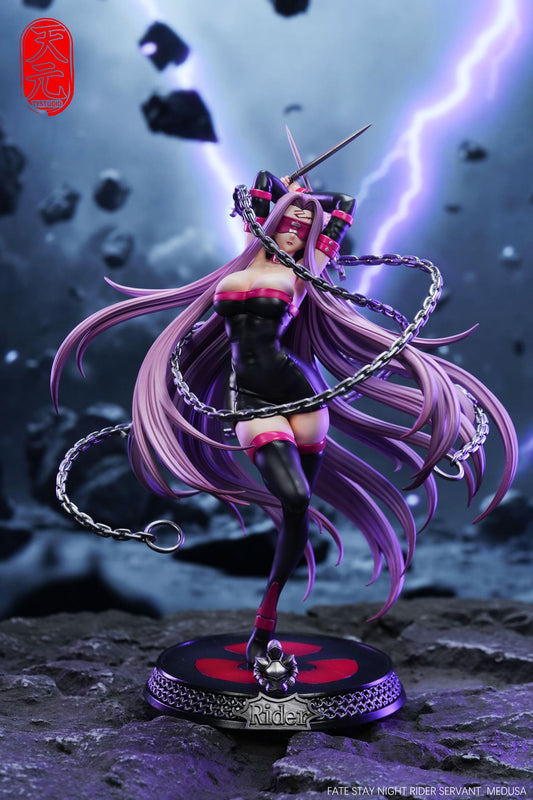 Fate/stay night TY Studio Rider Resin Statue