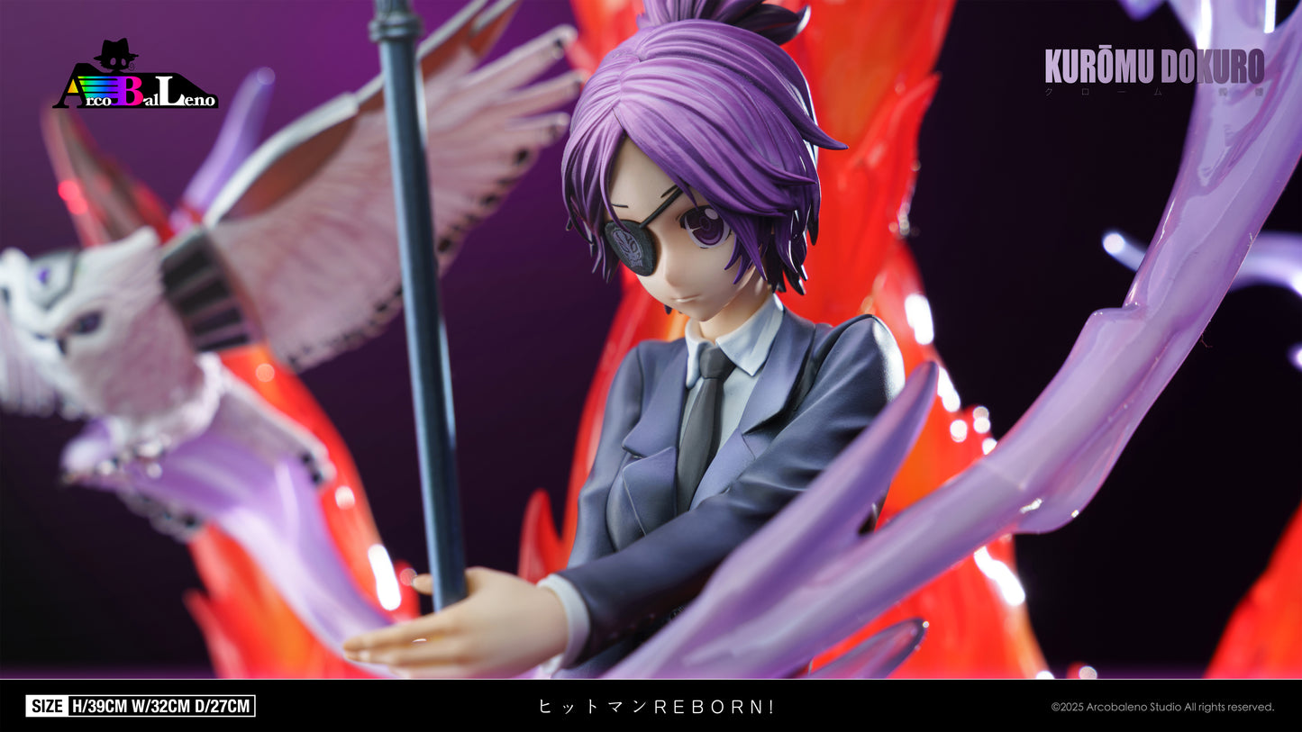 Katekyo Hitman Reborn Arcobaleno Studio Chrome Dokuro 1/6 Resin Statue