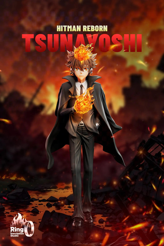 Katekyo Hitman Reborn Ring Inscription Studio Tsunayoshi Sawada Resin Statue