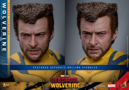 Marvel Hot Toys Deadpool & Wolverine: Wolverine MMS754 Deluxe version 1/6 Licensed Action Figure