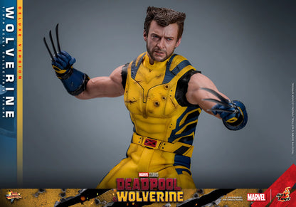 Marvel Hot Toys Deadpool & Wolverine: Wolverine MMS754 Deluxe version 1/6 Licensed Action Figure