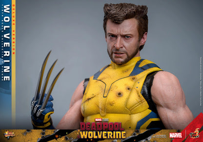 Marvel Hot Toys Deadpool & Wolverine: Wolverine MMS754 Deluxe version 1/6 Licensed Action Figure