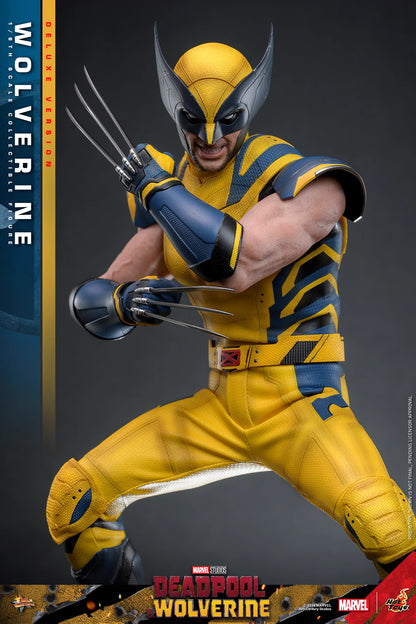 Marvel Hot Toys Deadpool & Wolverine: Wolverine MMS754 Deluxe version 1/6 Licensed Action Figure