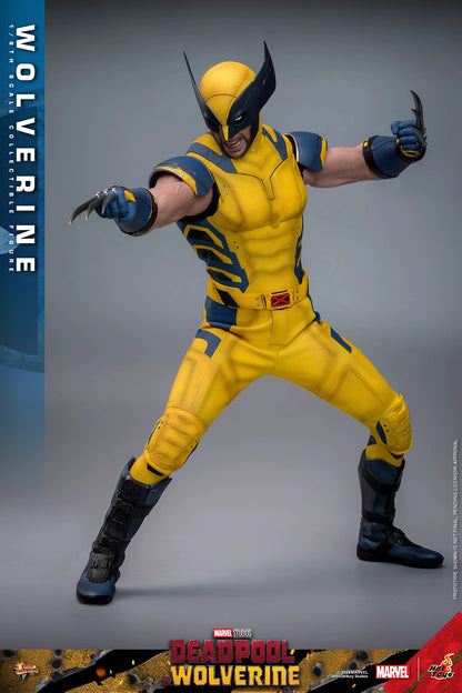 Marvel Hot Toys Deadpool & Wolverine: Wolverine MMS754 Deluxe version 1/6 Licensed Action Figure