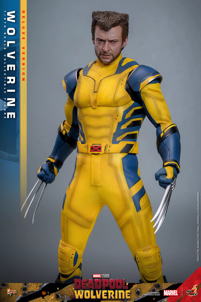 Marvel Hot Toys Deadpool & Wolverine: Wolverine MMS754 Deluxe version 1/6 Licensed Action Figure