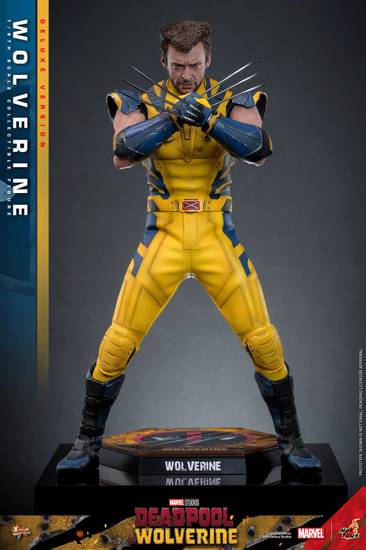 Marvel Hot Toys Deadpool & Wolverine: Wolverine MMS754 Deluxe version 1/6 Licensed Action Figure