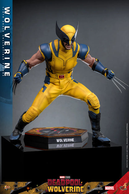 Marvel Hot Toys Deadpool & Wolverine: Wolverine MMS754 Deluxe version 1/6 Licensed Action Figure