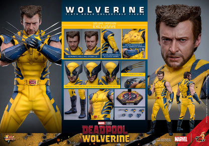Marvel Hot Toys Deadpool & Wolverine: Wolverine MMS754 Deluxe version 1/6 Licensed Action Figure