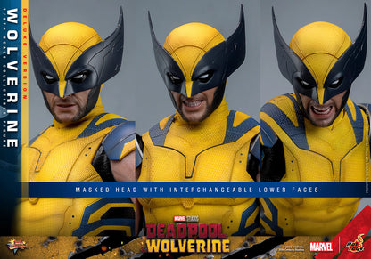 Marvel Hot Toys Deadpool & Wolverine: Wolverine MMS754 Deluxe version 1/6 Licensed Action Figure