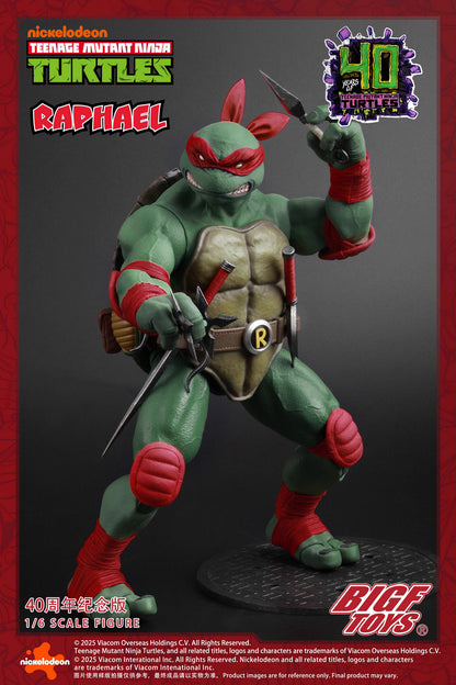 Ninja Turtles BIGFTOYS Raphael 40th Anniversary BIGF-002 Licensed Action Figure
