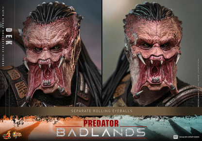 Predator Hot Toys Predator: Badlands Dek & Thia MMS849 MMS850 1/6 Licensed Action Figure