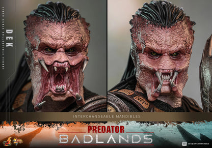 Predator Hot Toys Predator: Badlands Dek & Thia MMS849 MMS850 1/6 Licensed Action Figure