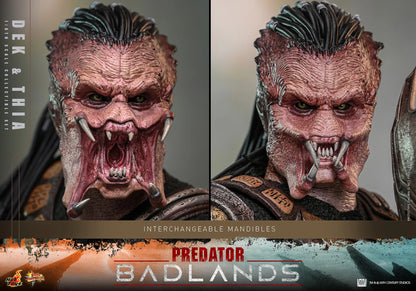 Predator Hot Toys Predator: Badlands Dek & Thia MMS849 MMS850 1/6 Licensed Action Figure
