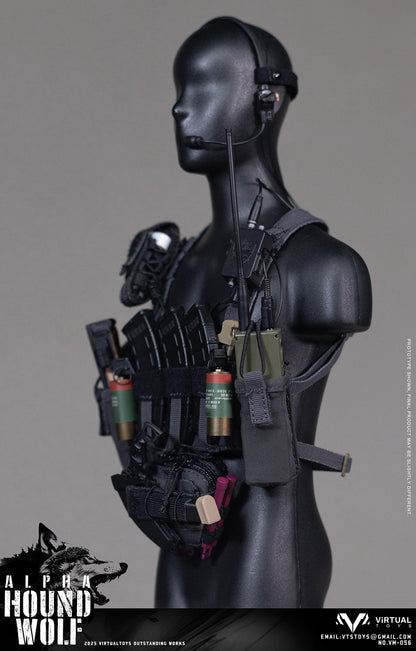 Resident Evil VTS TOYS Chris Redfield Lead Wolf VM056 1/6 Action Figure (3rd party)